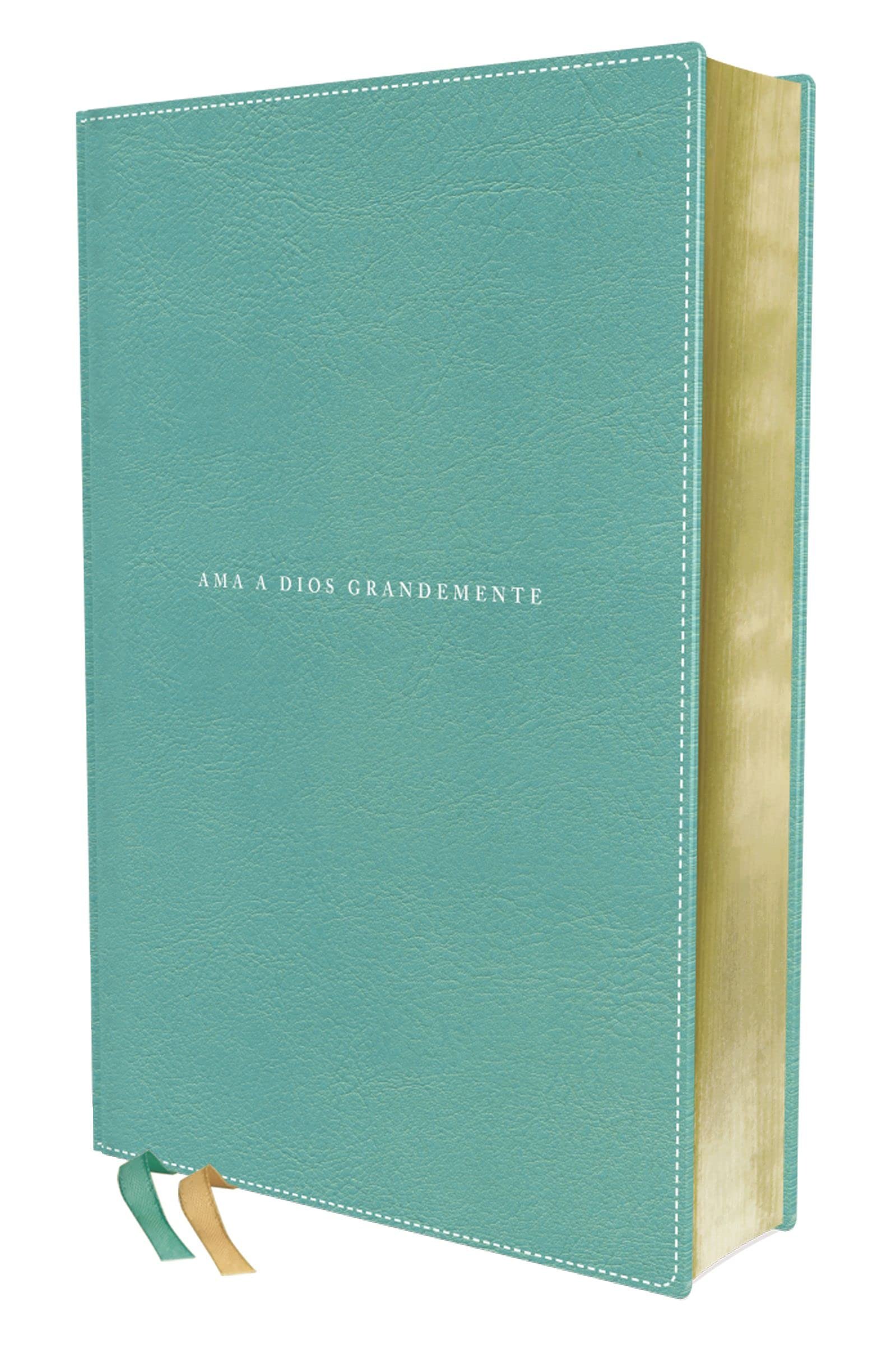Biblia Devocional ama a Dios grandemente Aqua tapa simil piel Bible Journaling Nicaragua