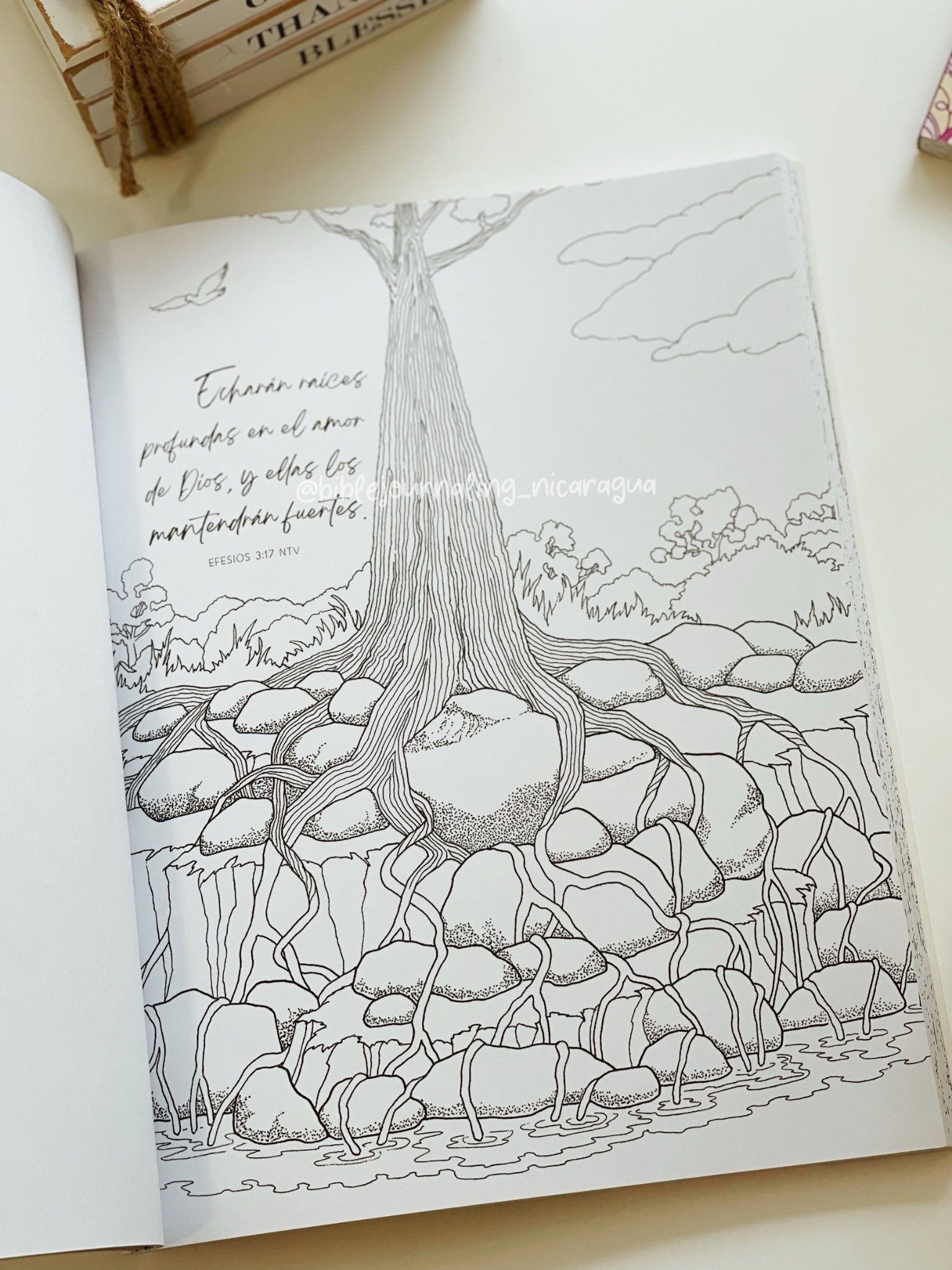 Libro para colorear Gracia Sublime - Image 2