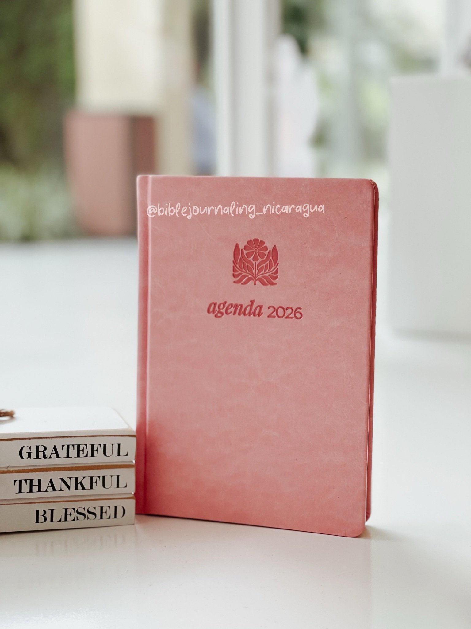 Agendas 2026 Mujeres - Rosa