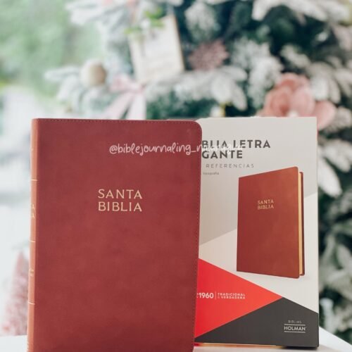 Biblia Bordó Canto Dorado Reina Valera 1960