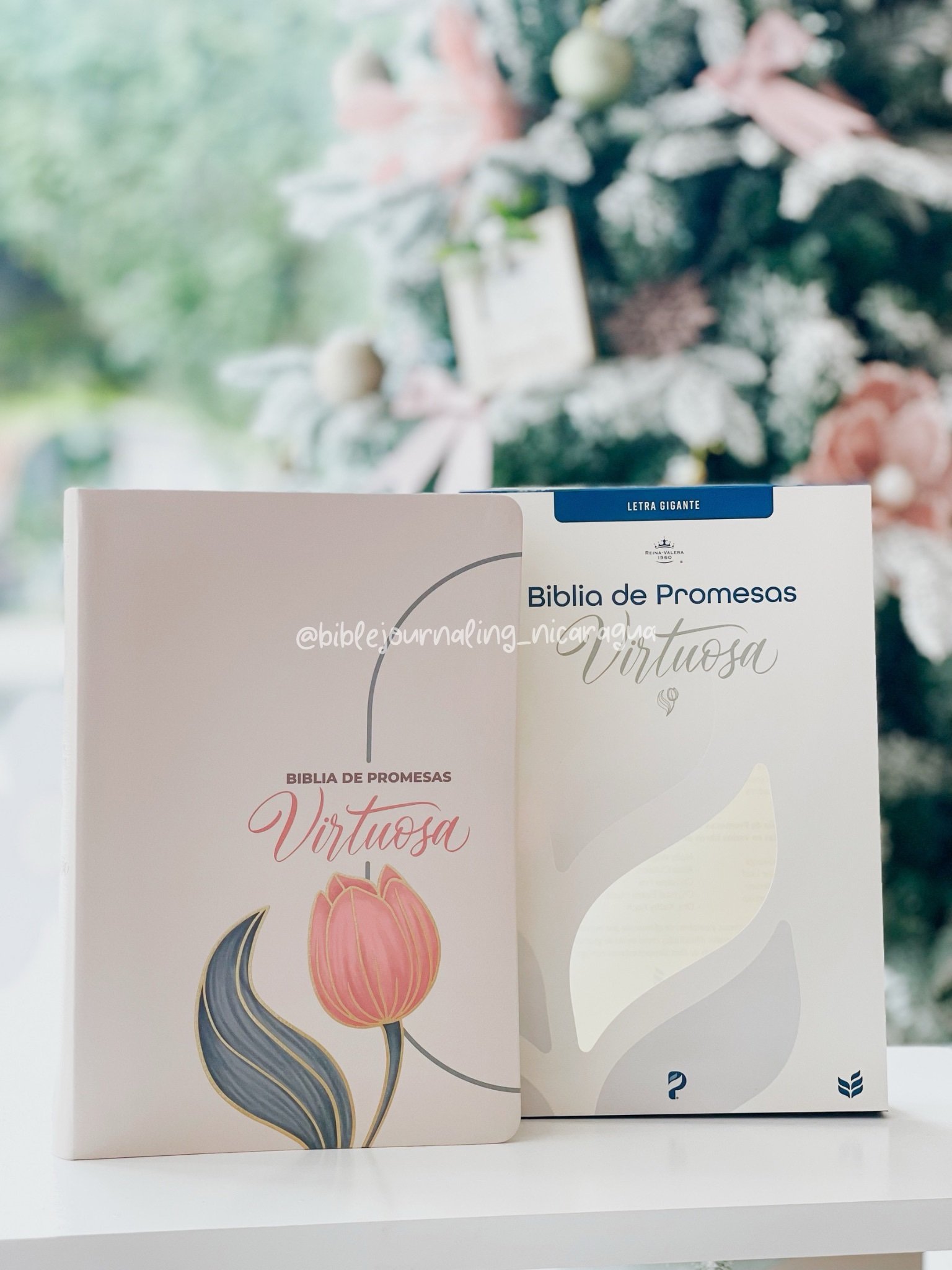 Biblia de Promesa RVR-1960, Virtuosa, Letra gigante, Piel especial, Crema