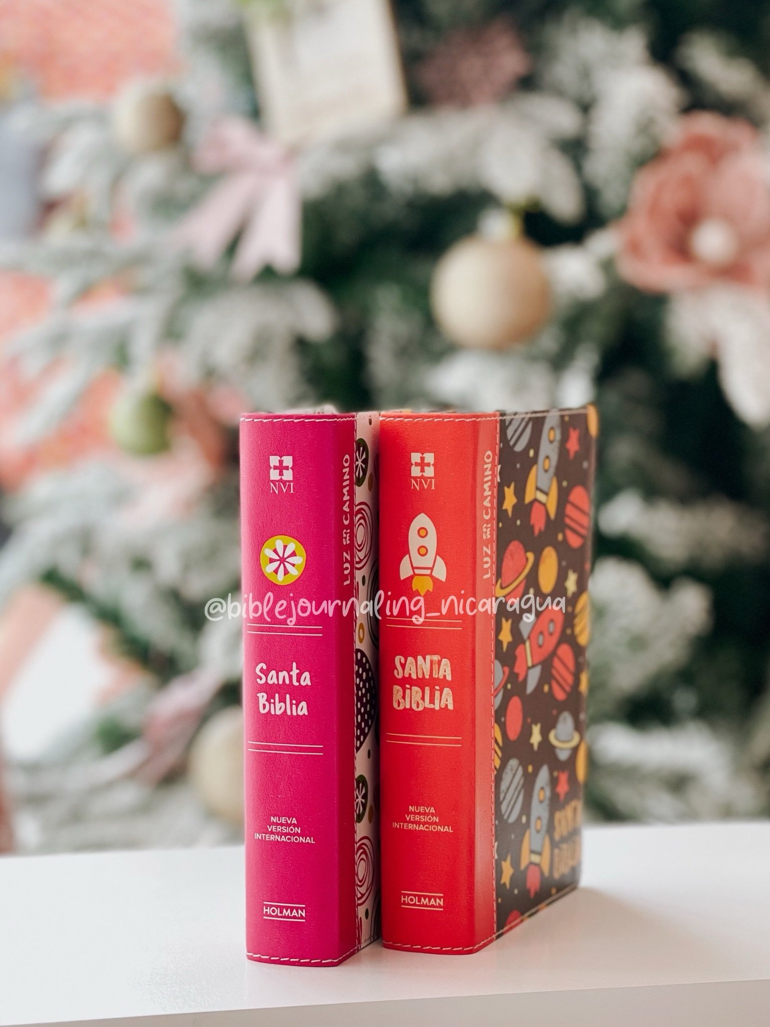 NVI Biblia Luz en mi camino niñas - Image 2