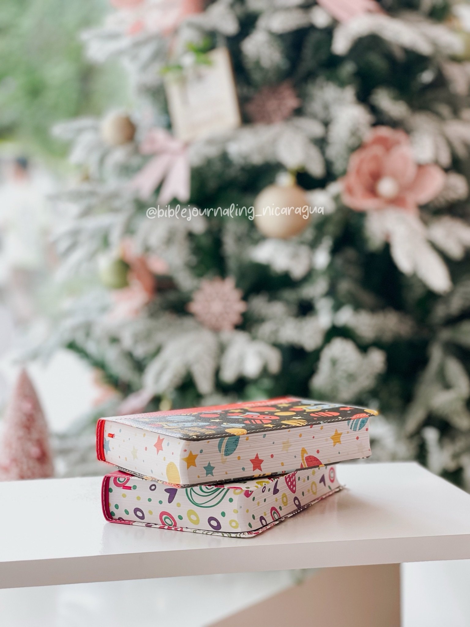 NVI Biblia Luz en mi camino niñas - Image 3