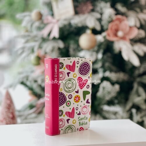 NVI Biblia Luz en mi camino niñas
