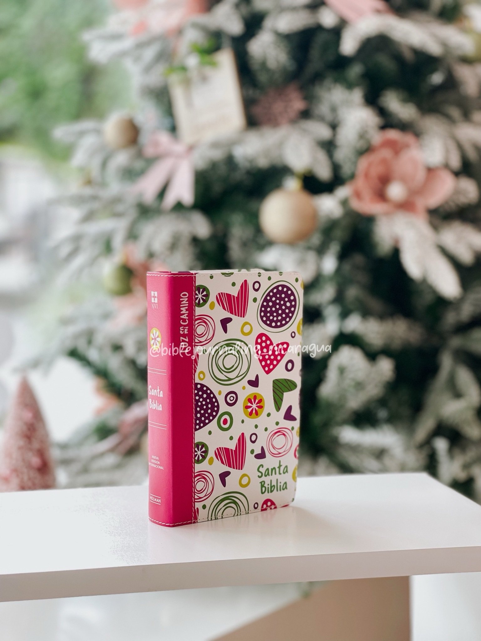 NVI Biblia Luz en mi camino niñas