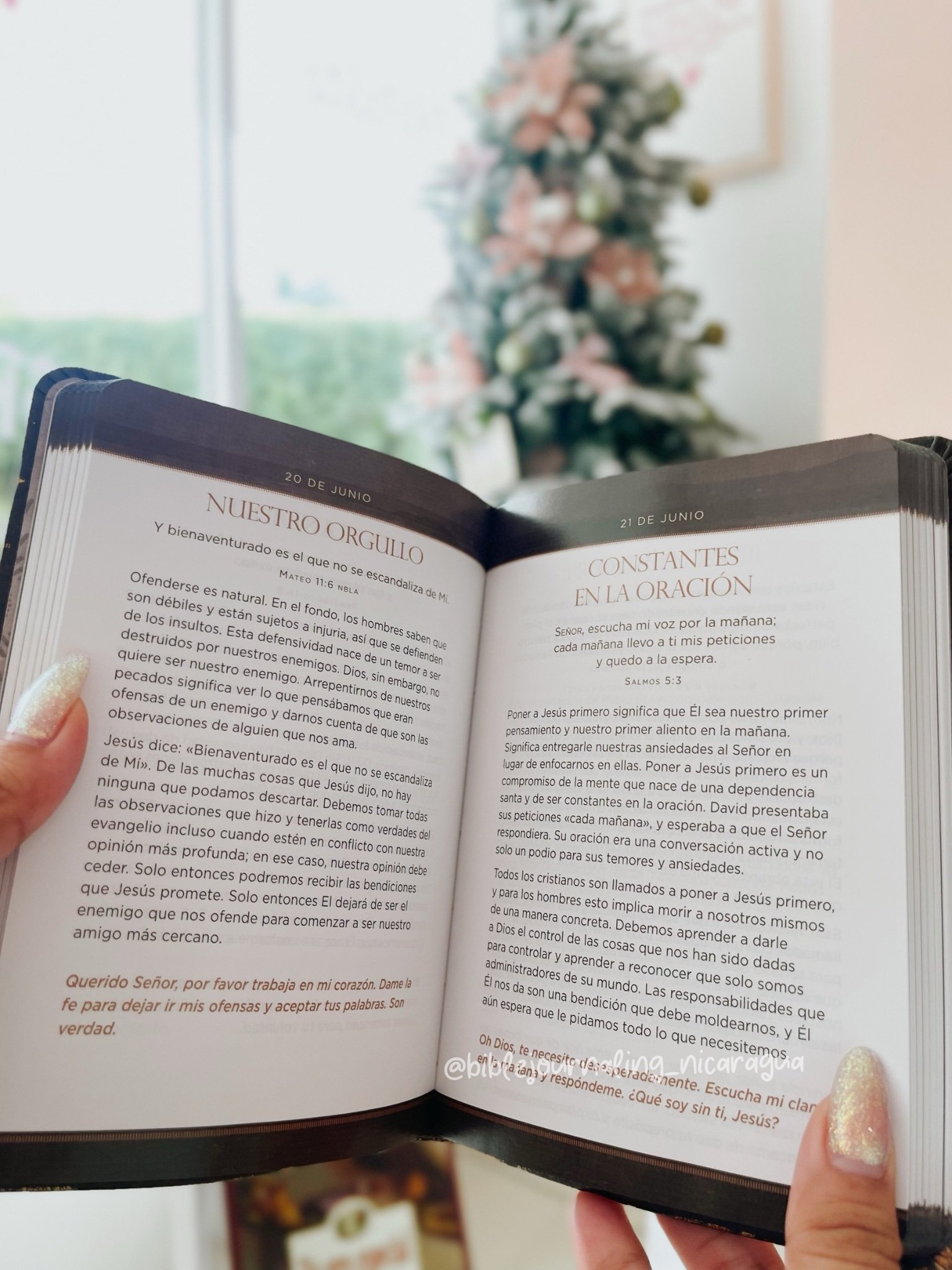 Jesús primero para hombres: 365 devociones para comenzar tu día - Image 2