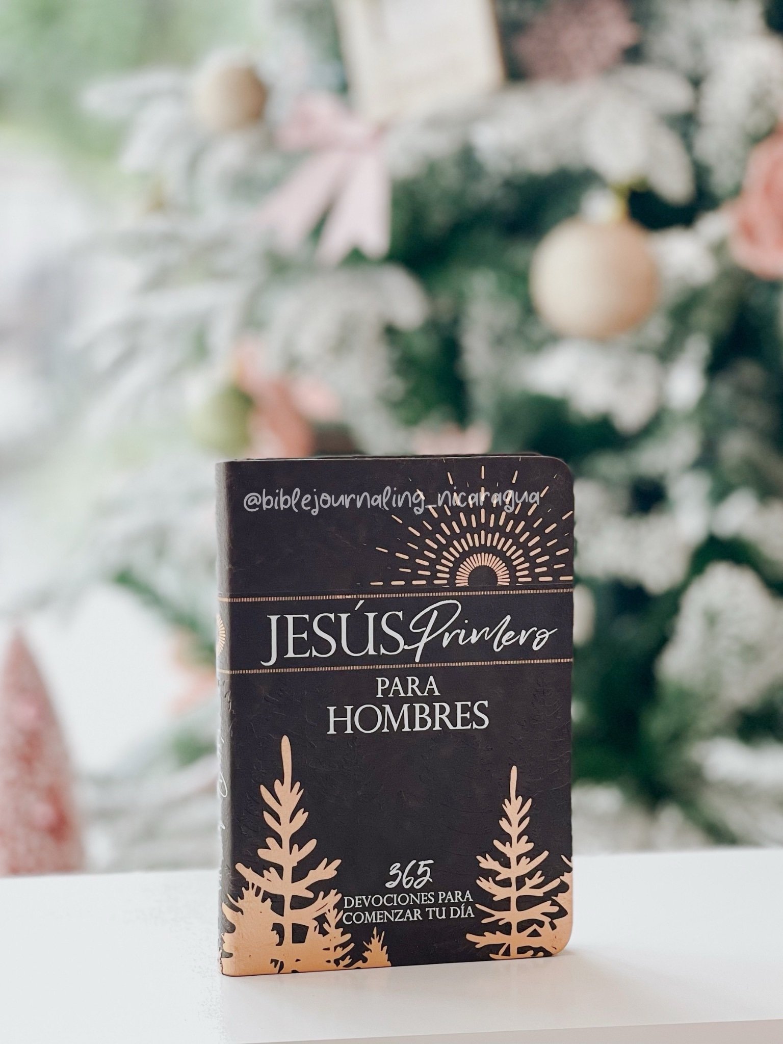 Jesús primero para hombres: 365 devociones para comenzar tu día