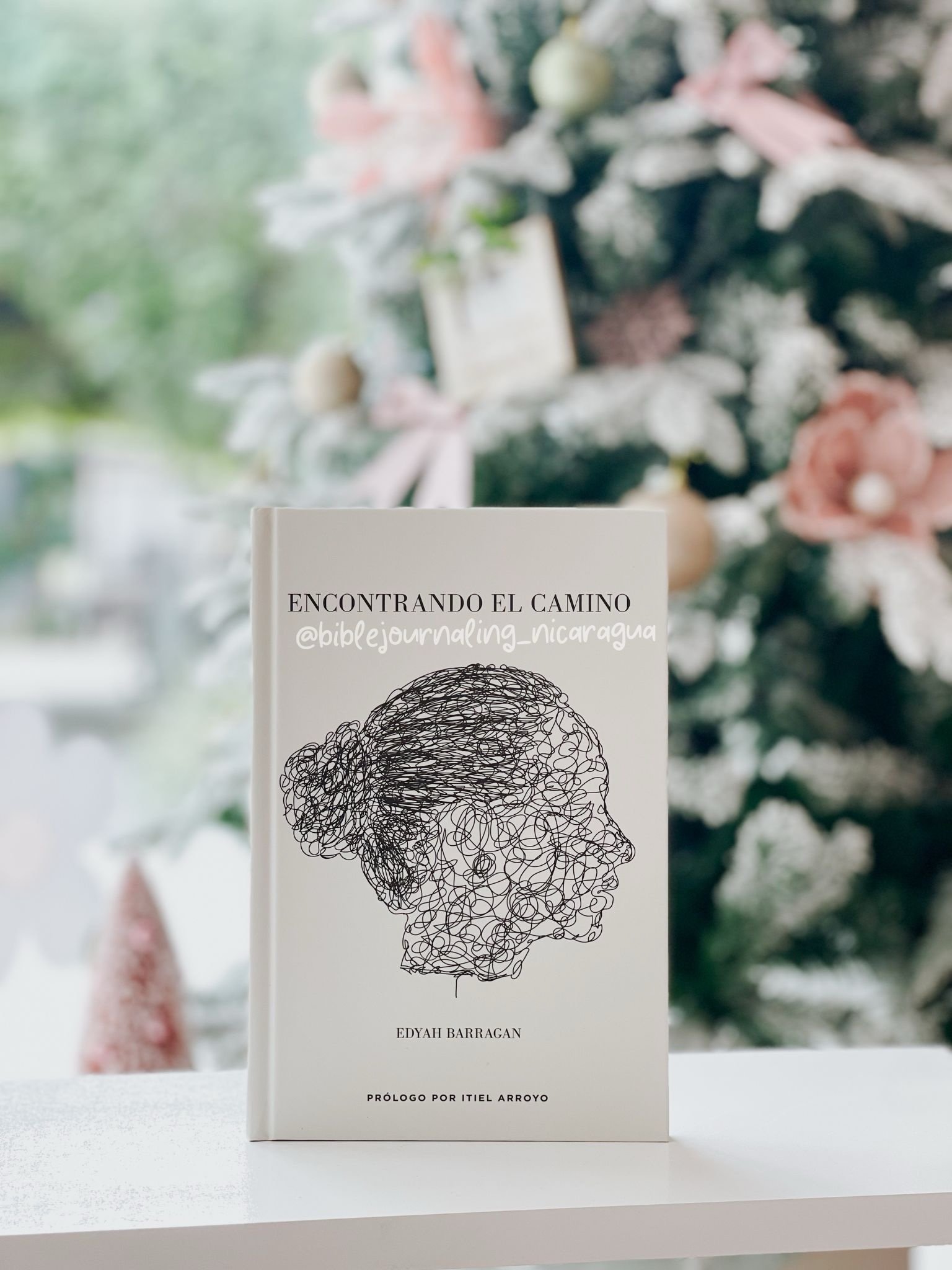 Encontrando el camino