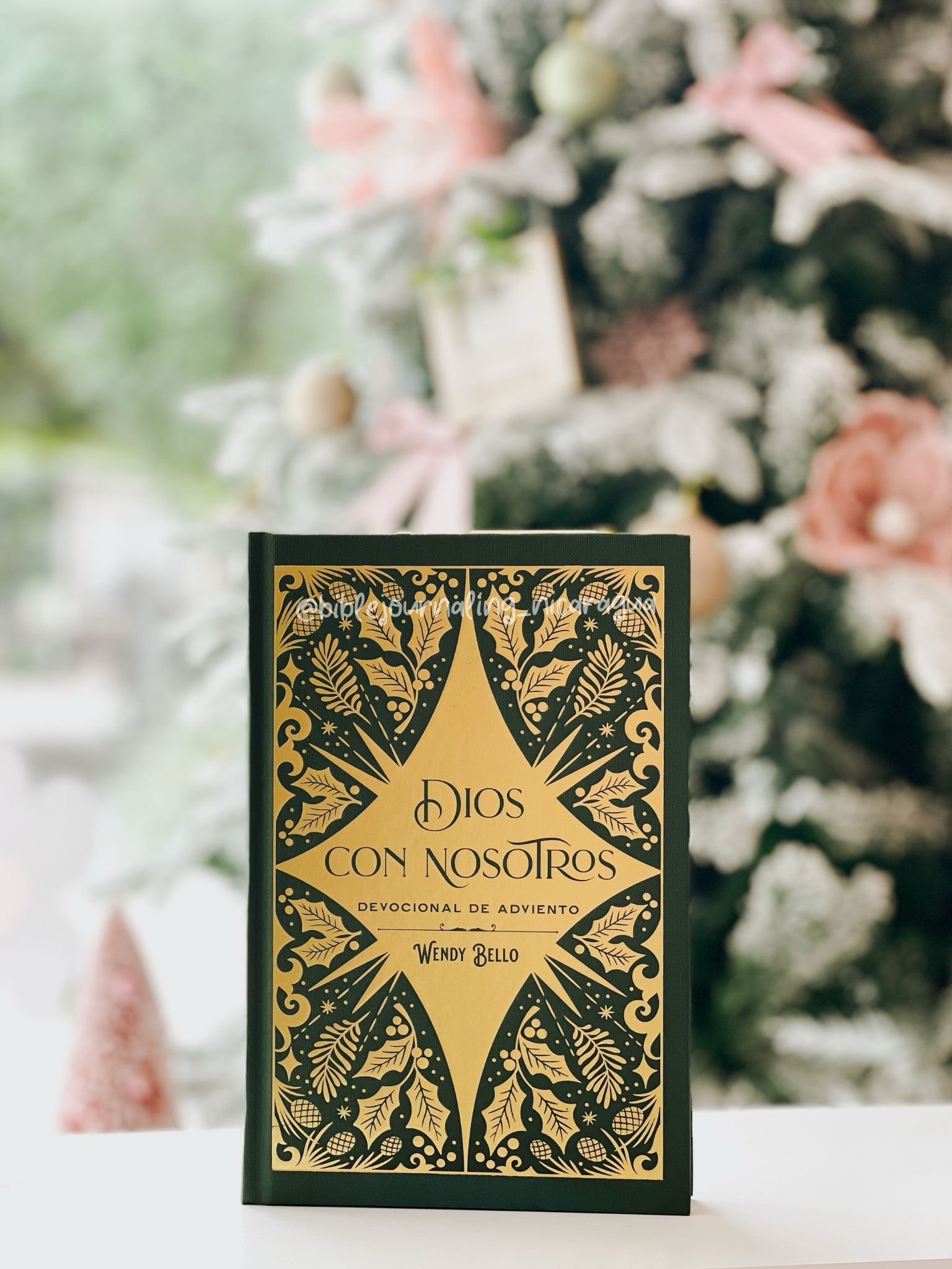 Dios con nosotros: Devocional de adviento