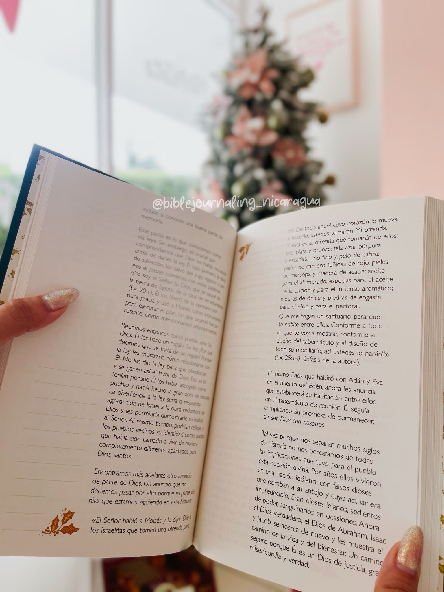 Dios con nosotros: Devocional de adviento - Image 2