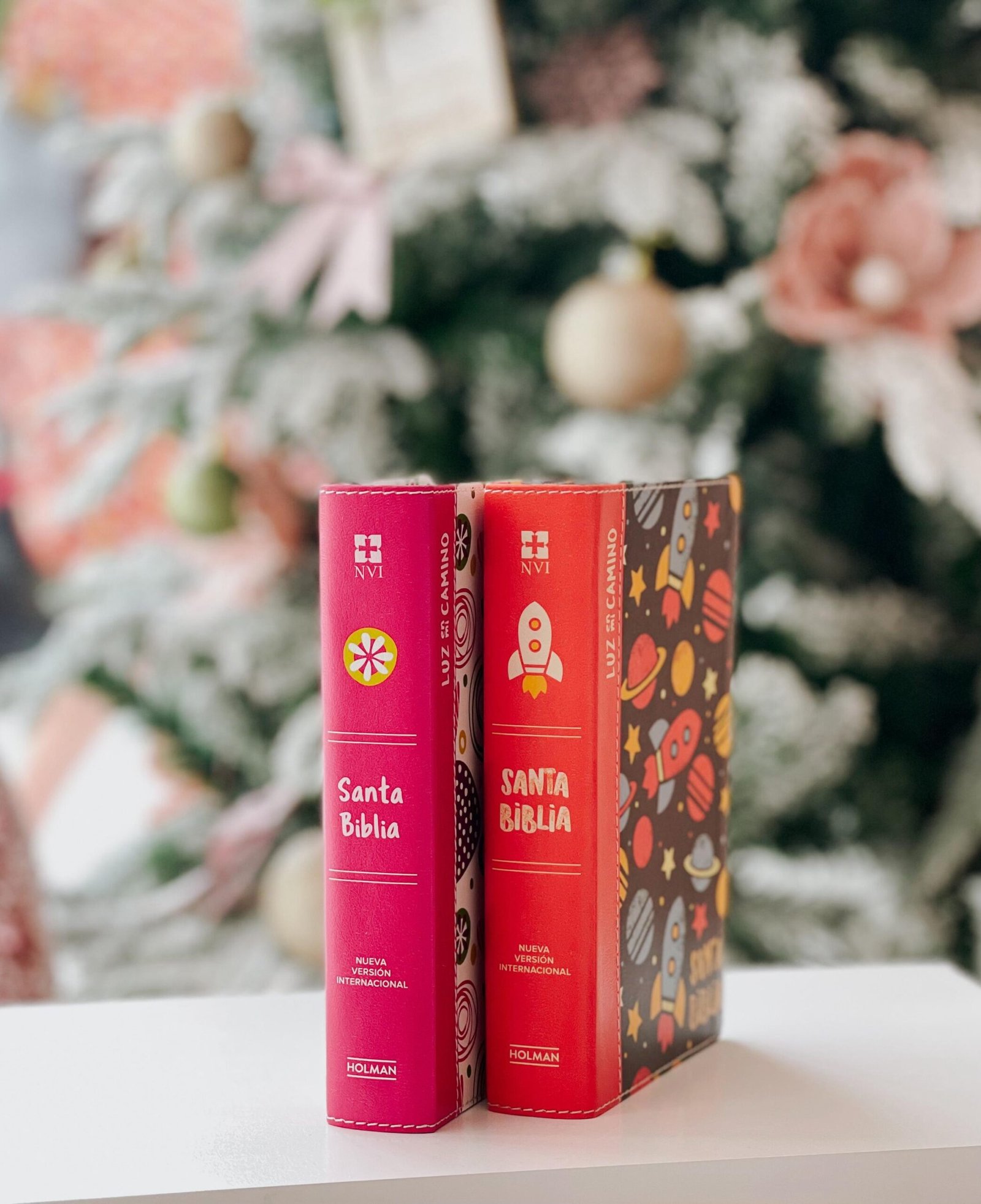 NVI Biblia Luz en mi camino niños - Image 2