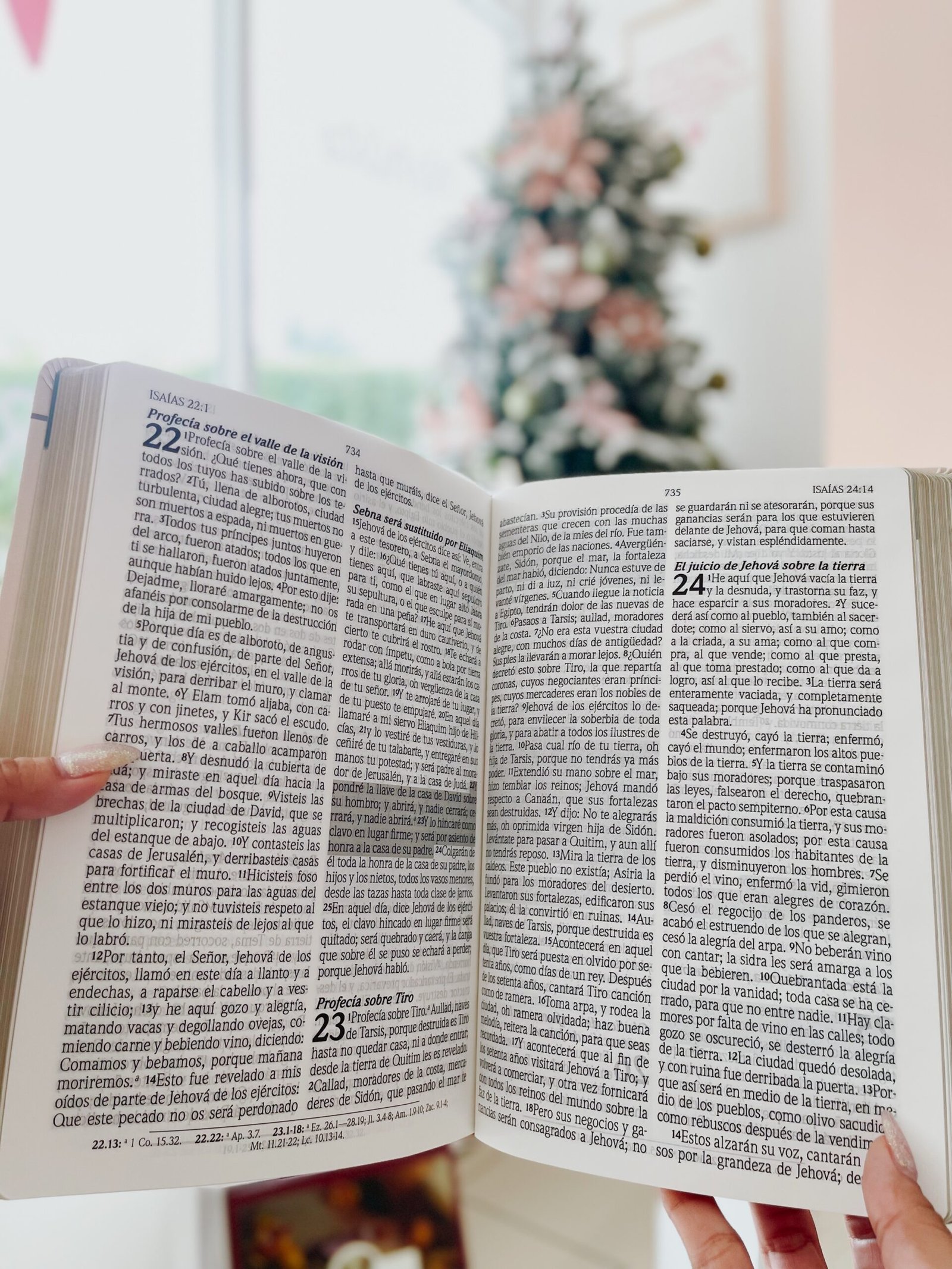 Biblia de Promesa RVR-1960, Virtuosa, Letra gigante, Piel especial, Crema - Image 2