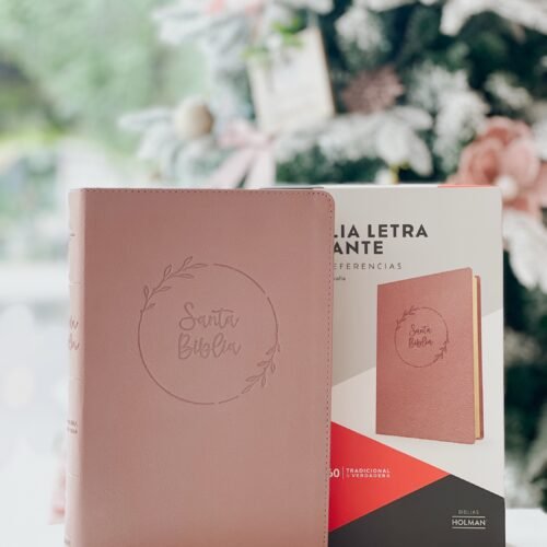 Biblia Reina Valera 1960