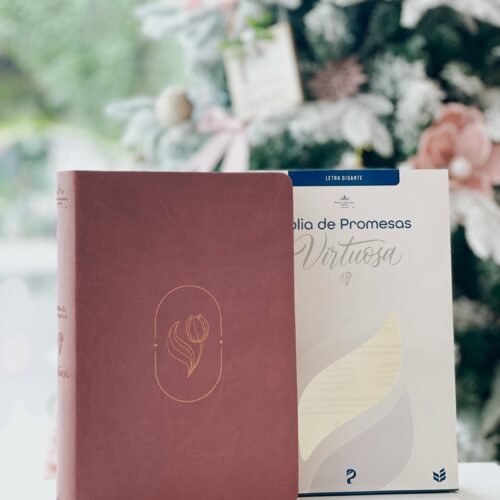 Biblia de Promesas RVR-1960, Virtuosa, Letra gigante, Piel especial, Rosa