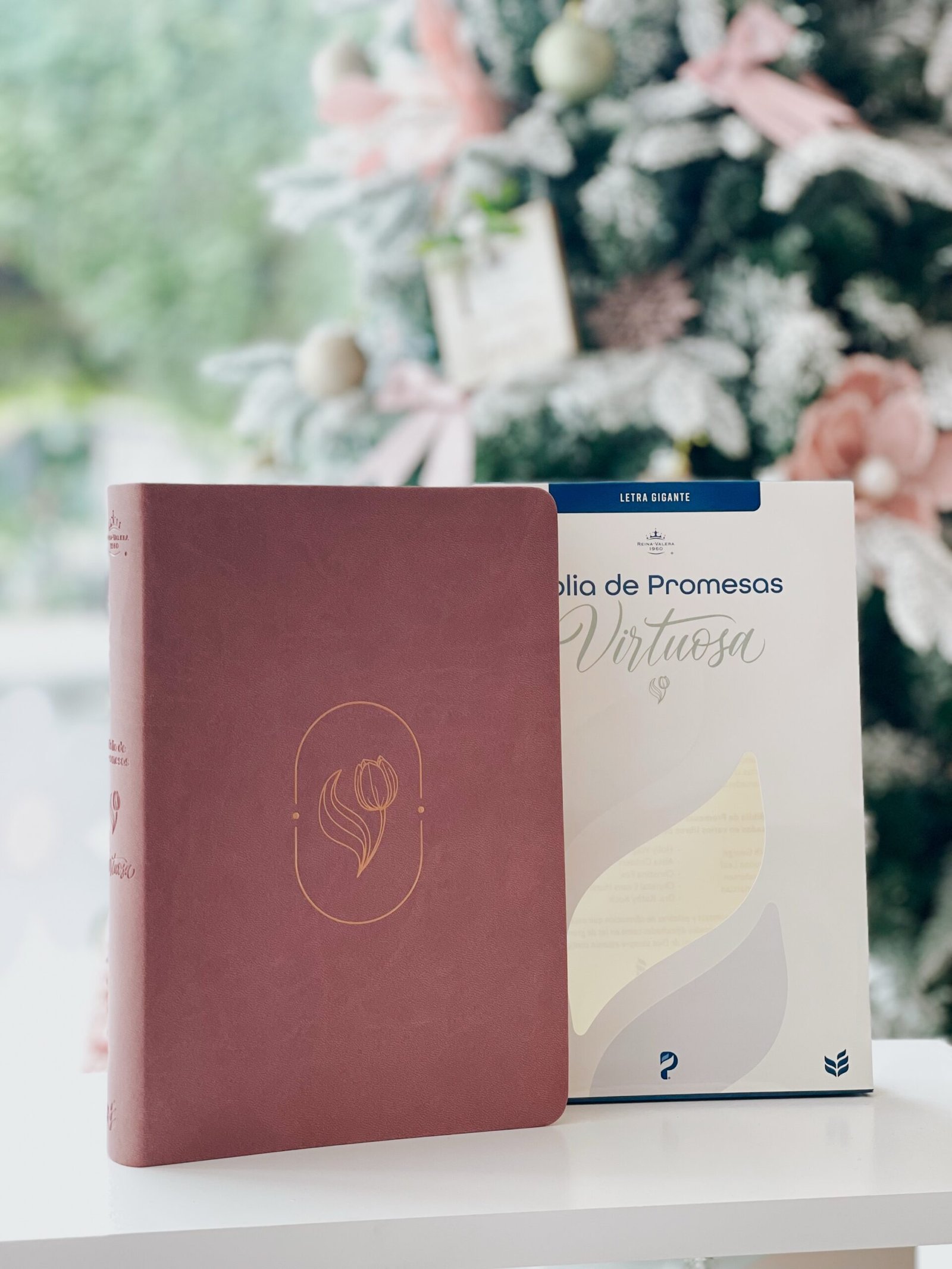 Biblia de Promesas RVR-1960, Virtuosa, Letra gigante, Piel especial, Rosa