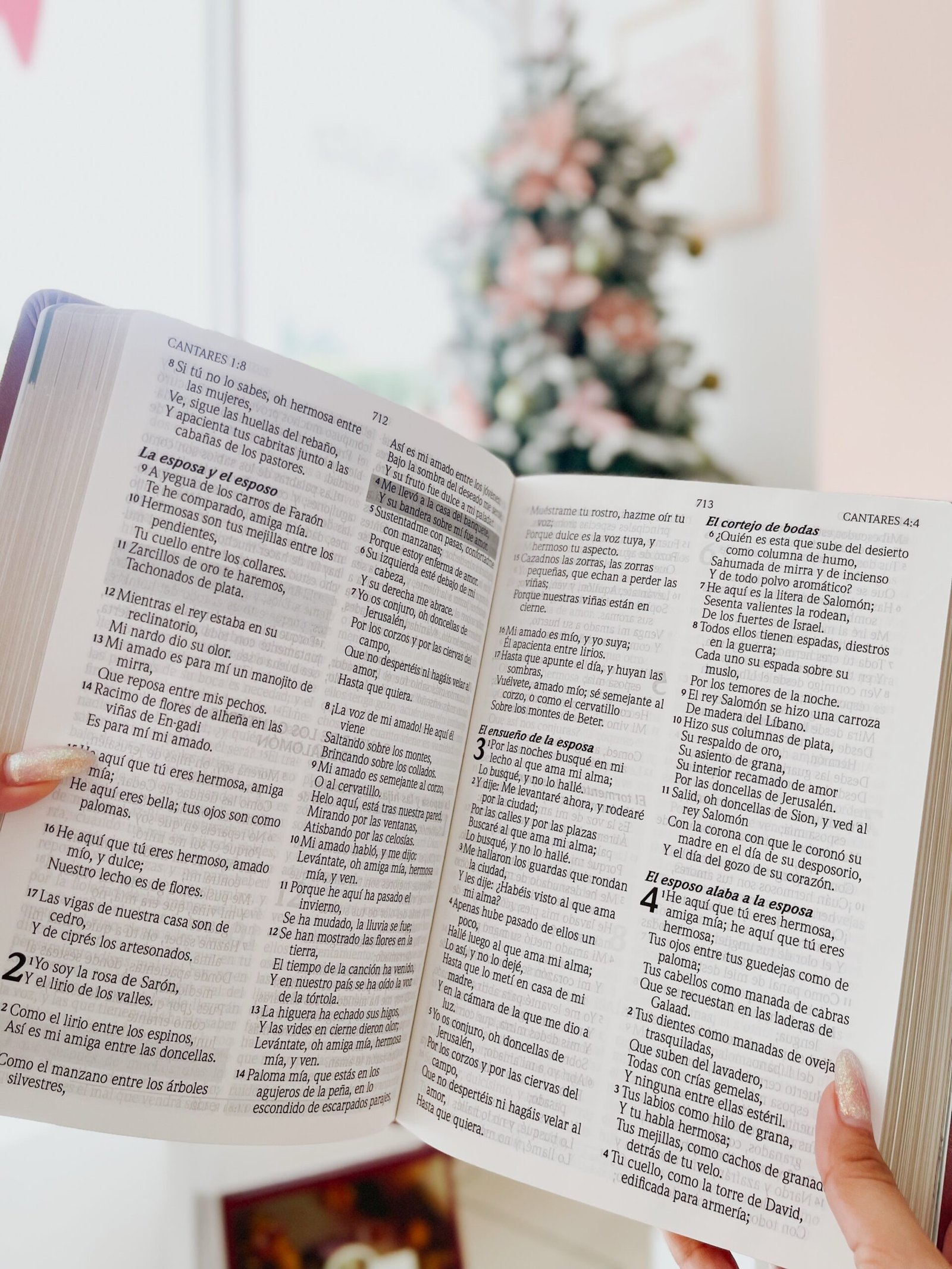 Biblia de Promesas RVR-1960, Virtuosa, Letra gigante, Piel especial, Rosa - Image 2