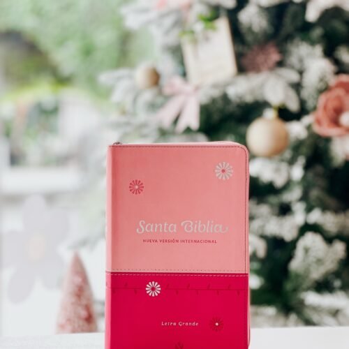 Biblia NVI Compacta Letra Grande Fucsia y Rosa