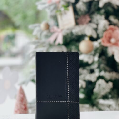 Santa Biblia de Promesas Reina Valera 1960