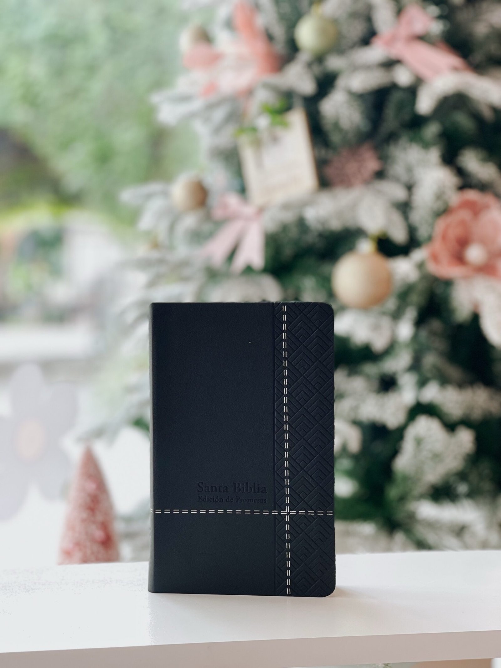 Santa Biblia de Promesas Reina Valera 1960