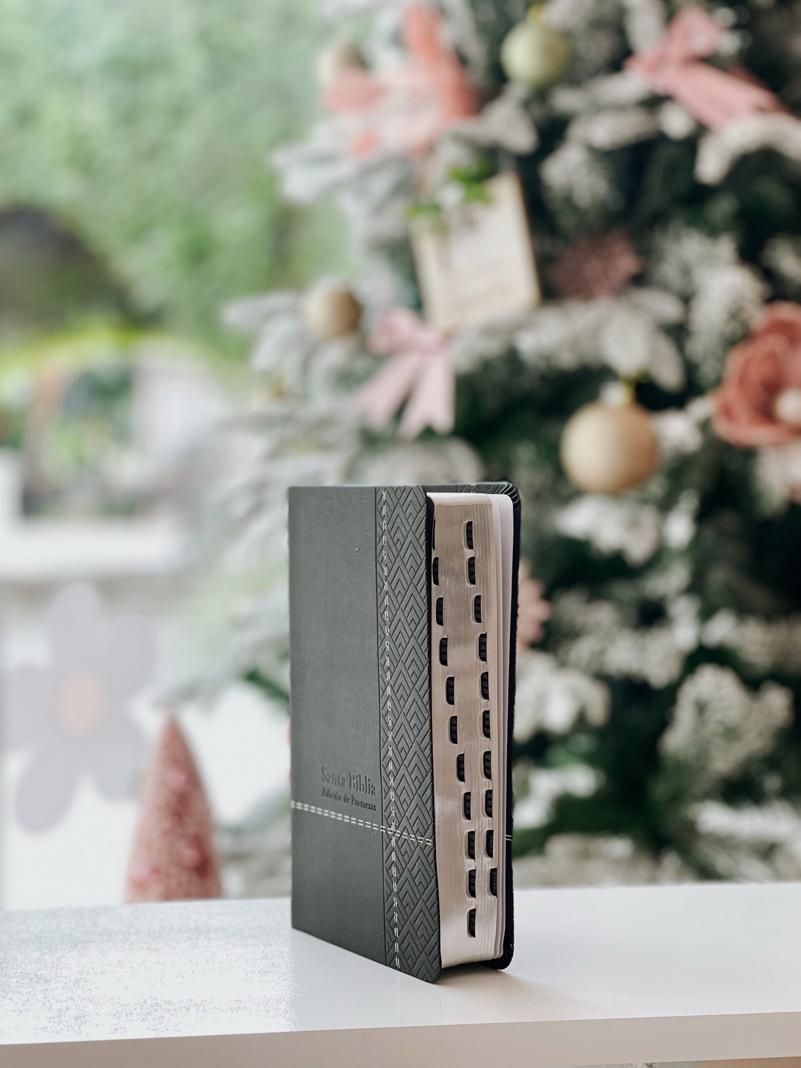 Santa Biblia de Promesas Reina Valera 1960 - Image 2