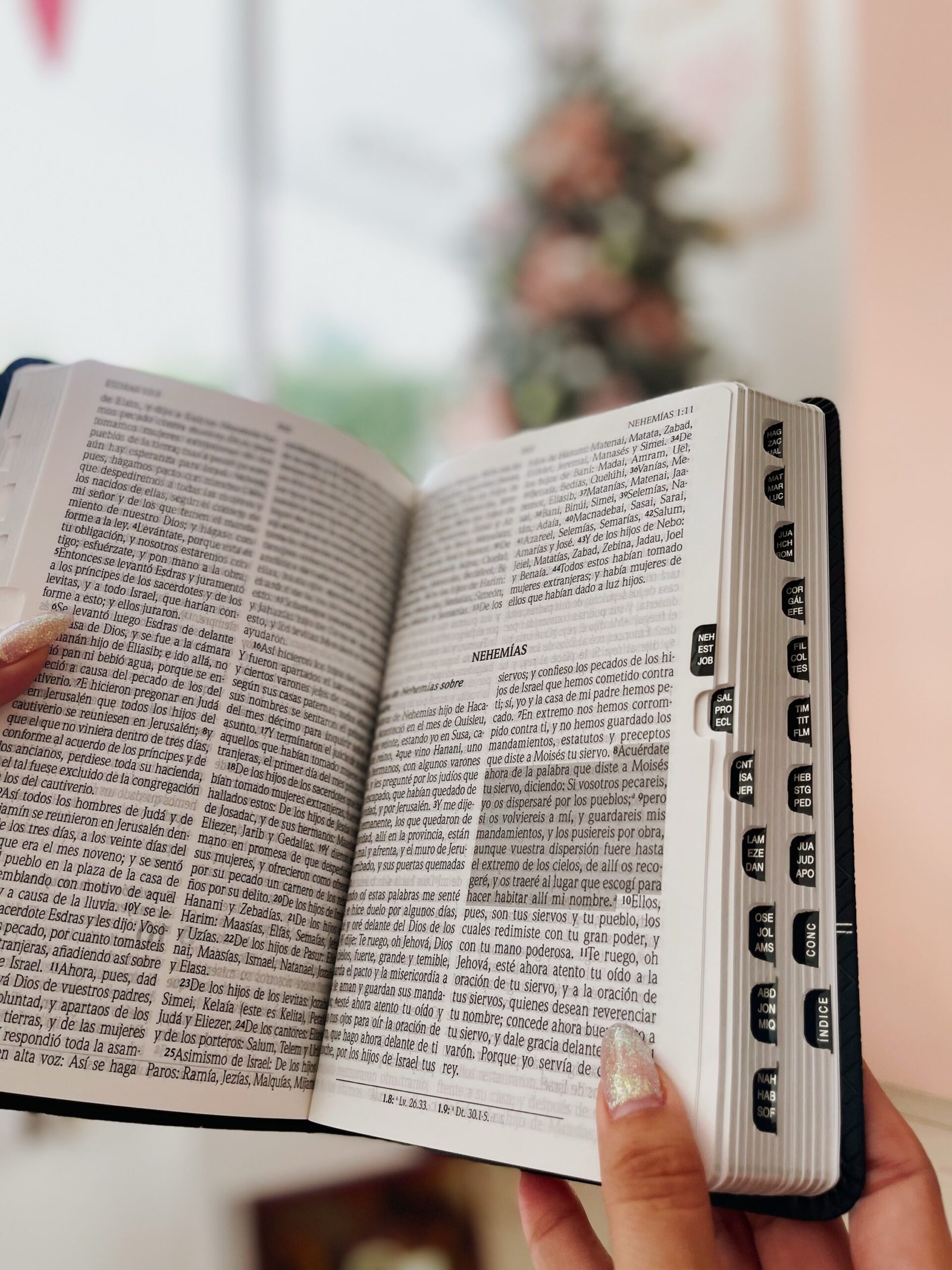 Santa Biblia de Promesas Reina Valera 1960 - Image 3