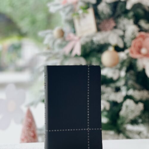 Santa Biblia de Promesas Reina Valera 1960