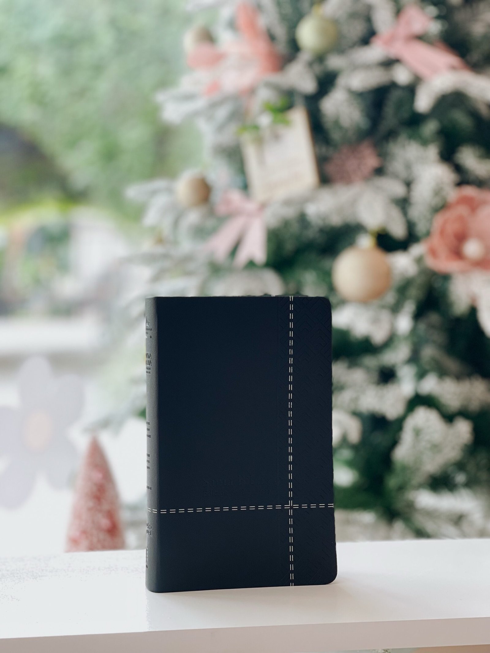 Santa Biblia de Promesas Reina Valera 1960