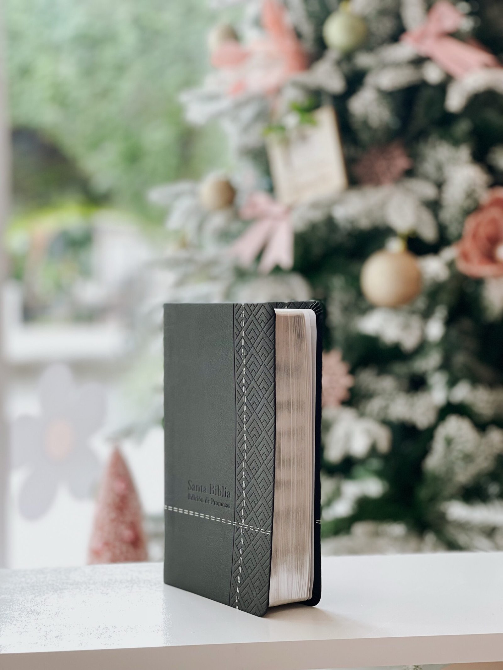 Santa Biblia de Promesas Reina Valera 1960 - Image 2