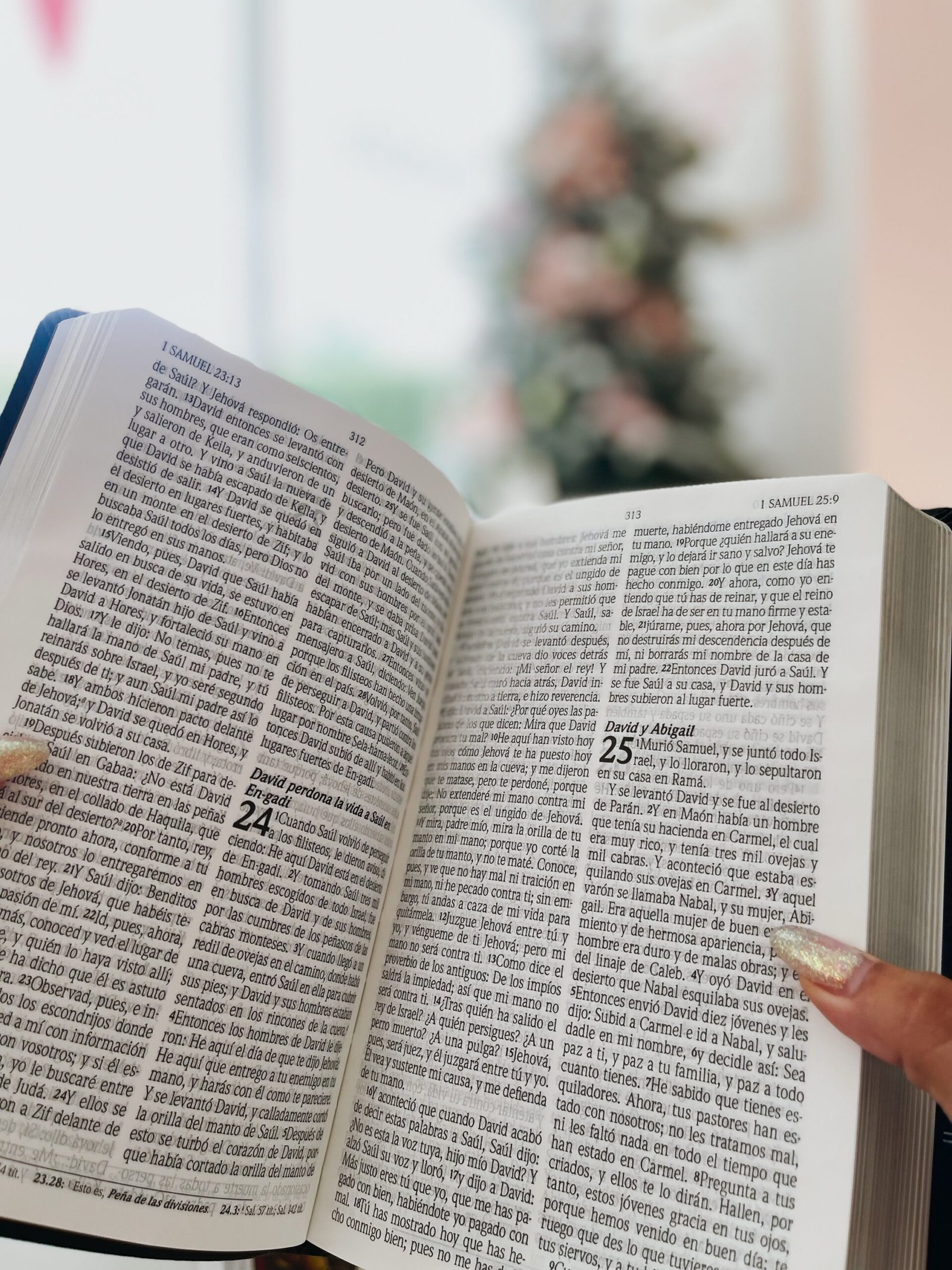 Santa Biblia de Promesas Reina Valera 1960 - Image 3