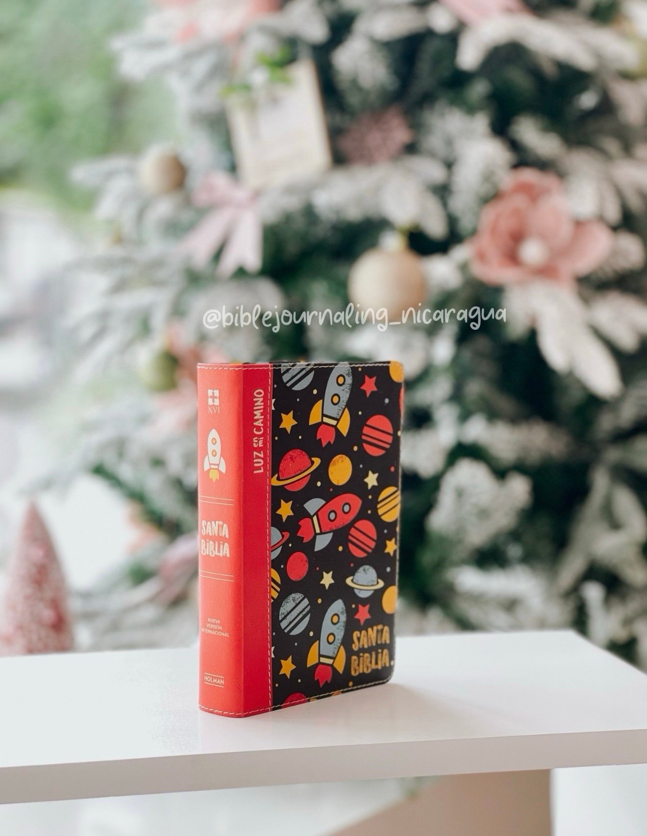 NVI Biblia Luz en mi camino niños