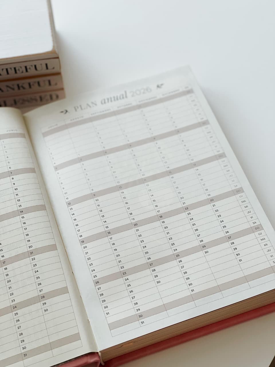 Agendas 2026 mujeres | aqua - Image 2