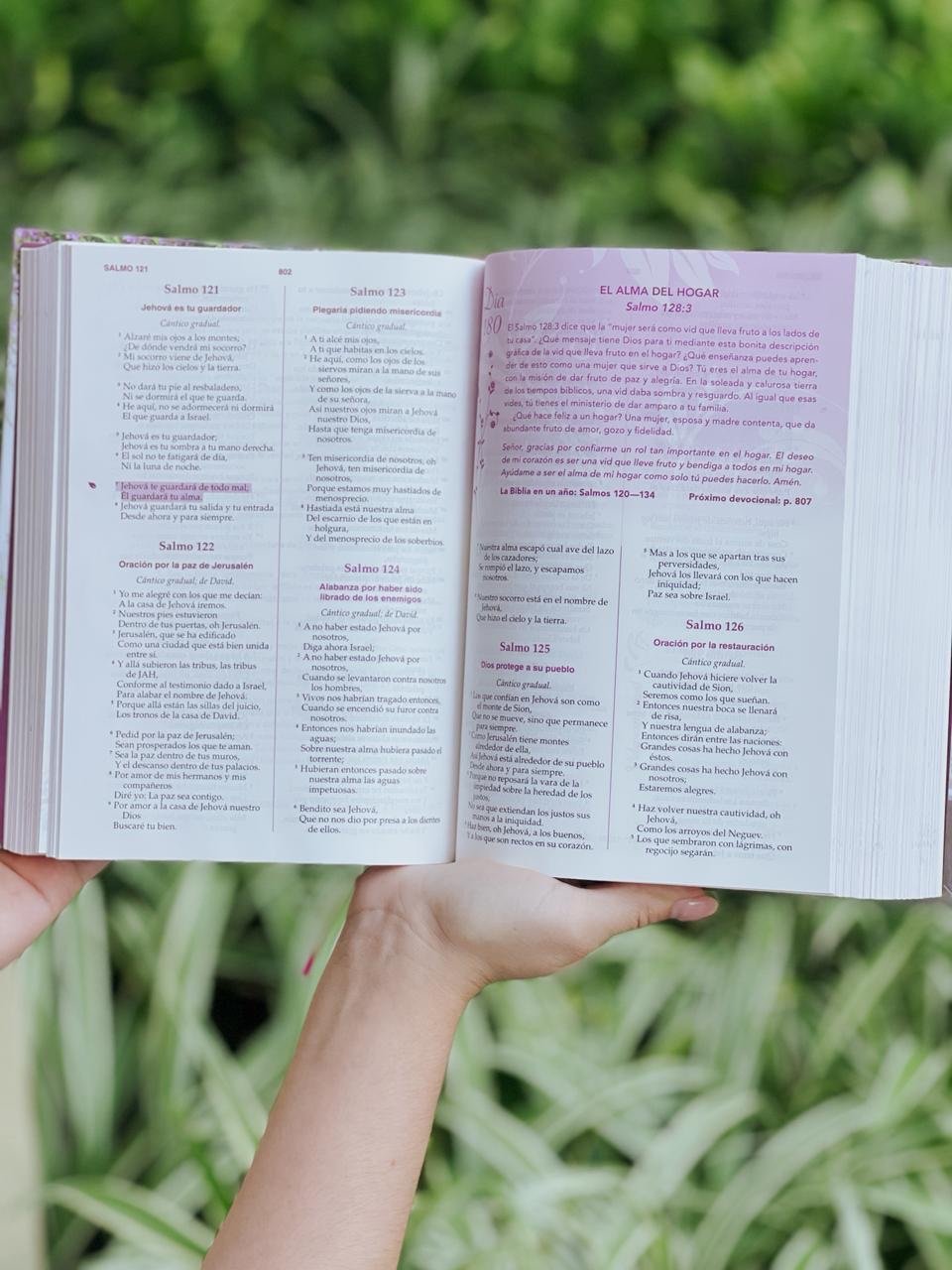 Biblia de la mujer conforme al corazón de Dios | Tapa dura - Image 3