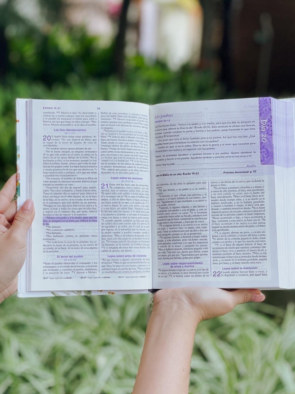 Biblia de Una Joven Conforme Al Corazón de Dios: Tapa Dura - Image 3