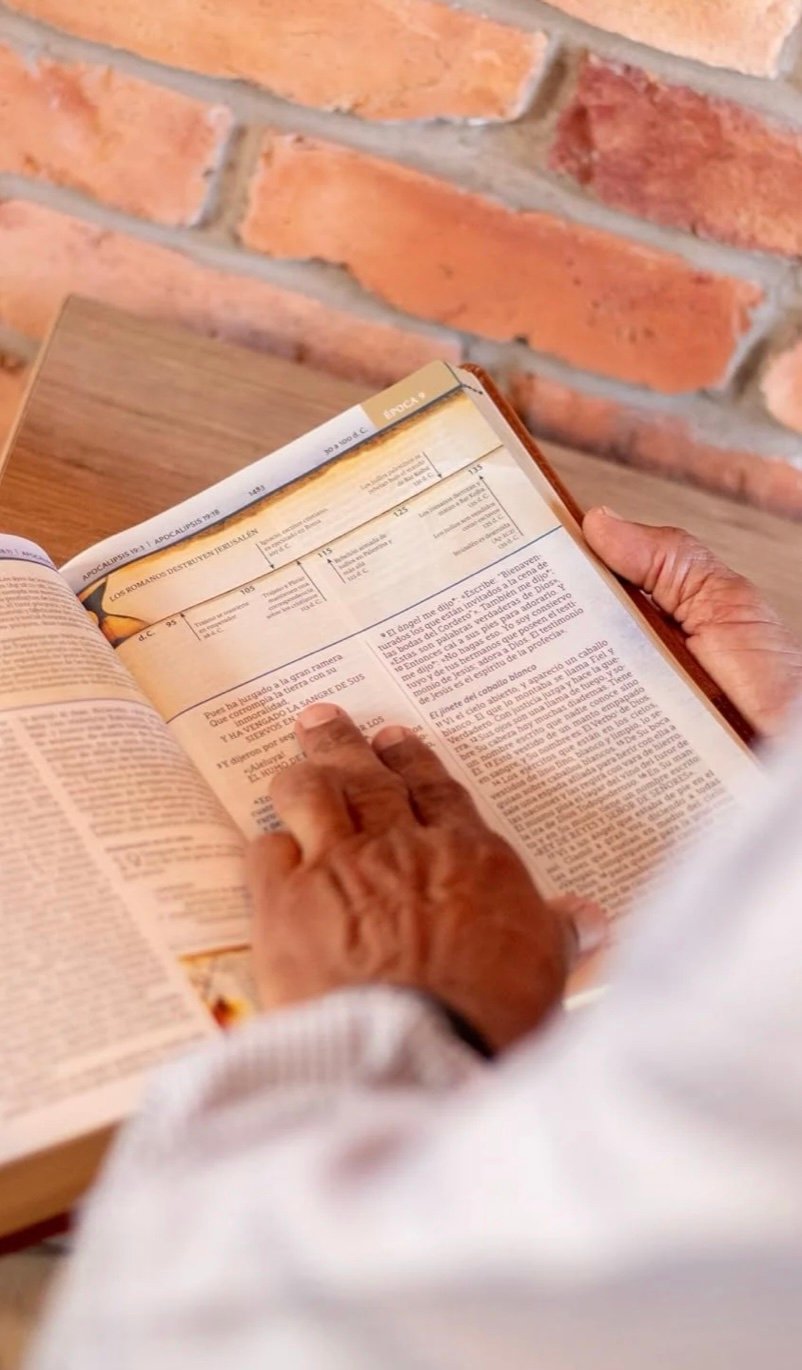 Biblia Cronológica de Estudio NBLA Tapa Flexible Café - Image 5