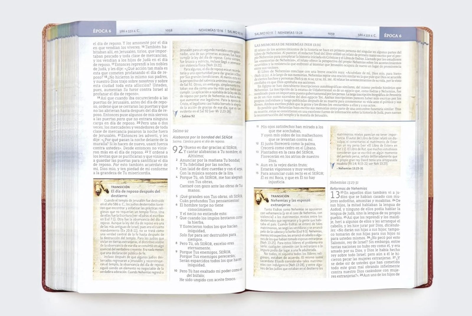 Biblia Cronológica de Estudio NBLA Tapa Flexible Café - Image 4