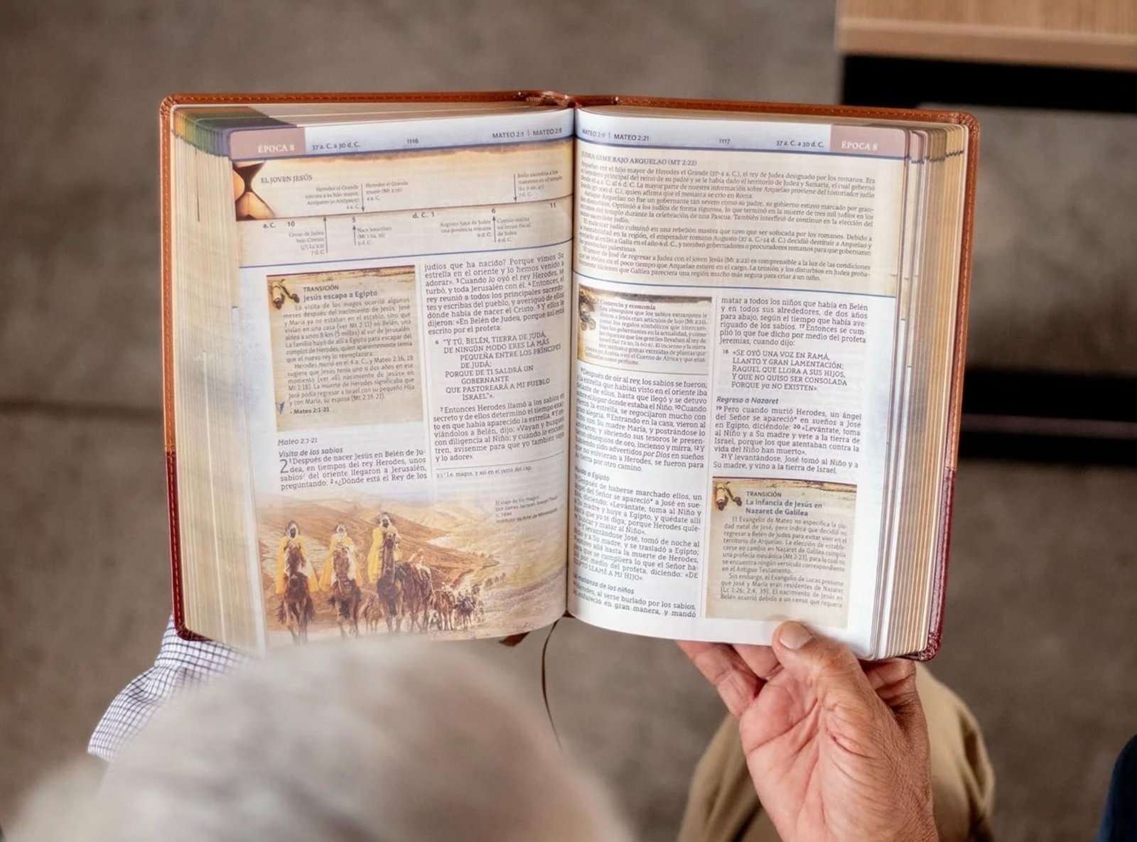 Biblia Cronológica de Estudio NBLA Tapa Flexible Café - Image 3