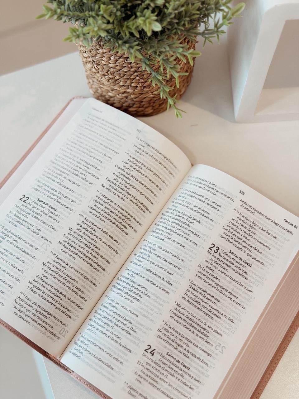 Biblia El Mensaje Letra Grande Tapa Simil Piel Oro Rosa - Image 2