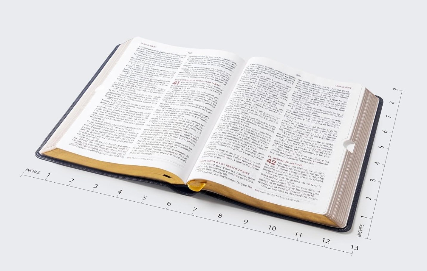 RVR60, Biblia del Ministro, Letra gigante, - Image 5