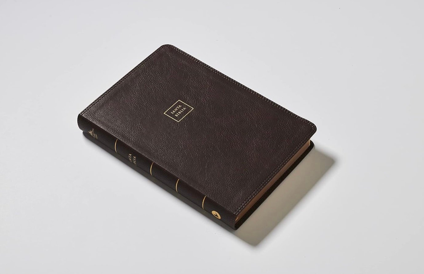 RVR60, Biblia del Ministro, Letra gigante, - Image 3