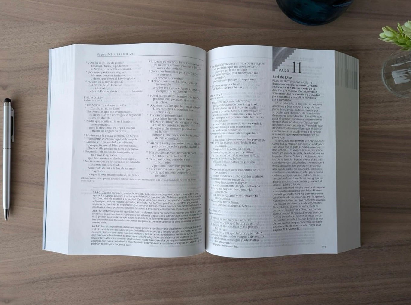 Biblia Renacer NTV (Tapa rústica) - Image 4