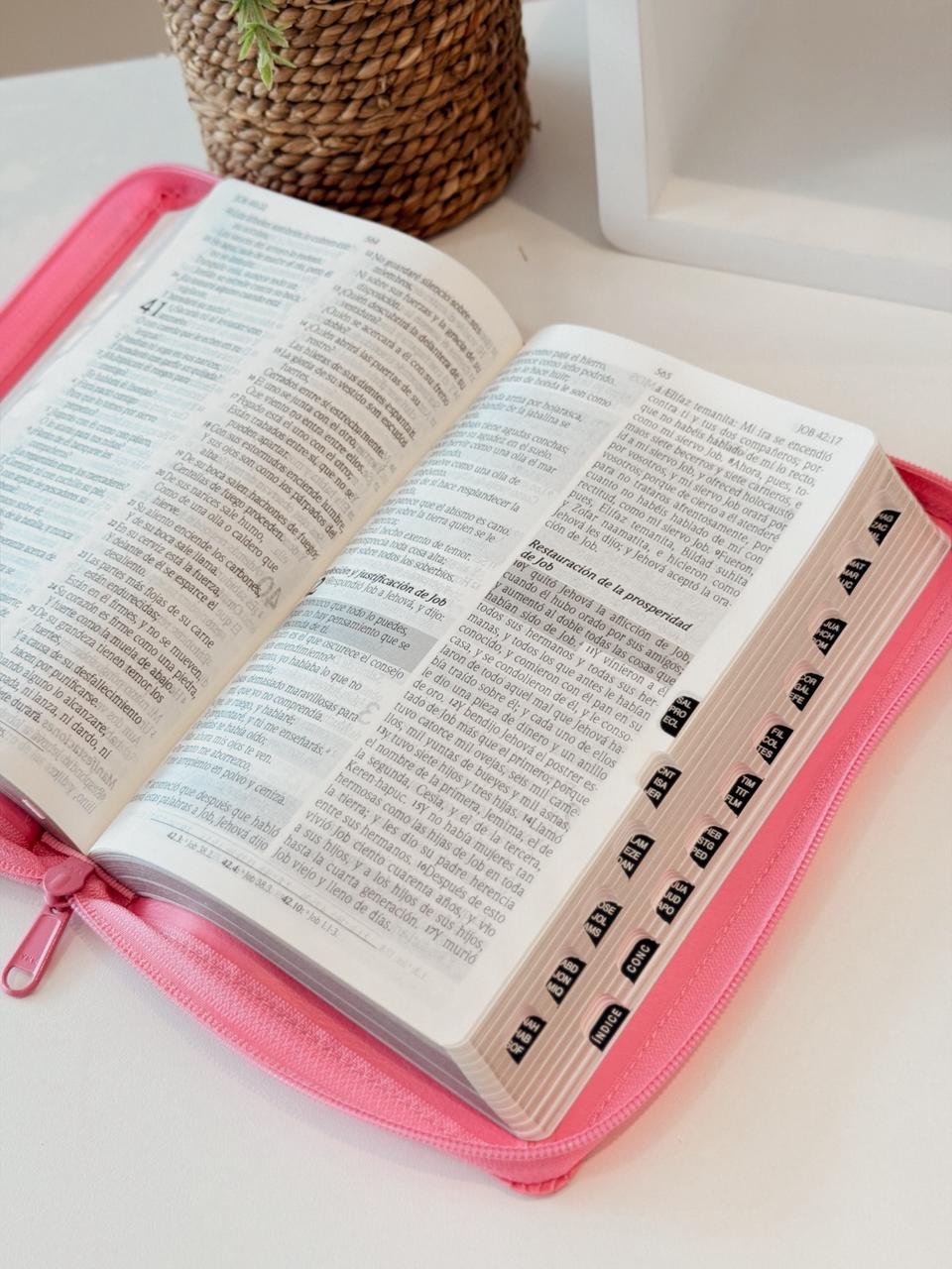 RVR60 Biblia de Promesas Letra Gigante con Cierre e Índice - Image 4