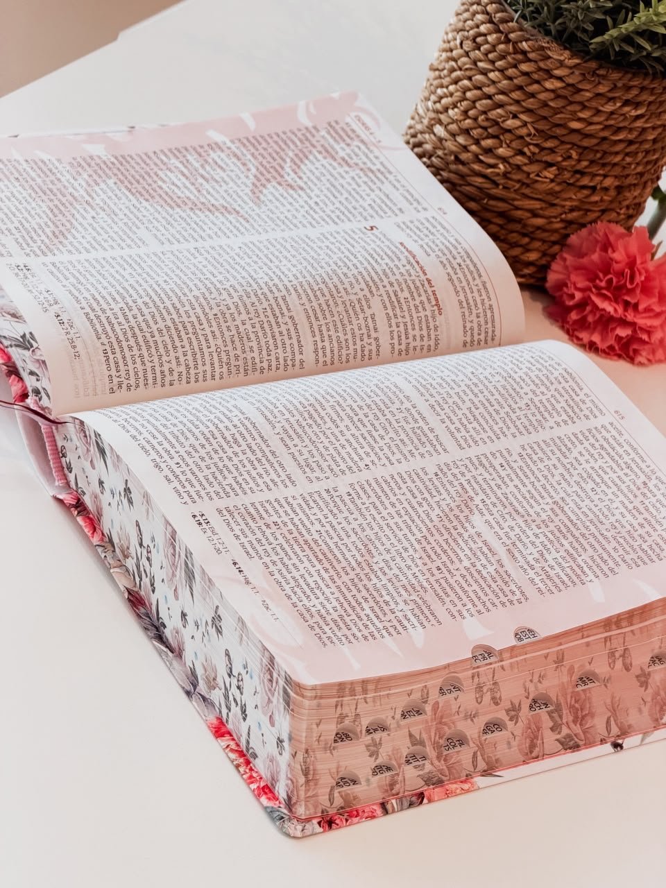 BIBLIA REINA VALERA 1960 PARA LA PREDICACIÓN DE AVIVAMIENTO - Image 2