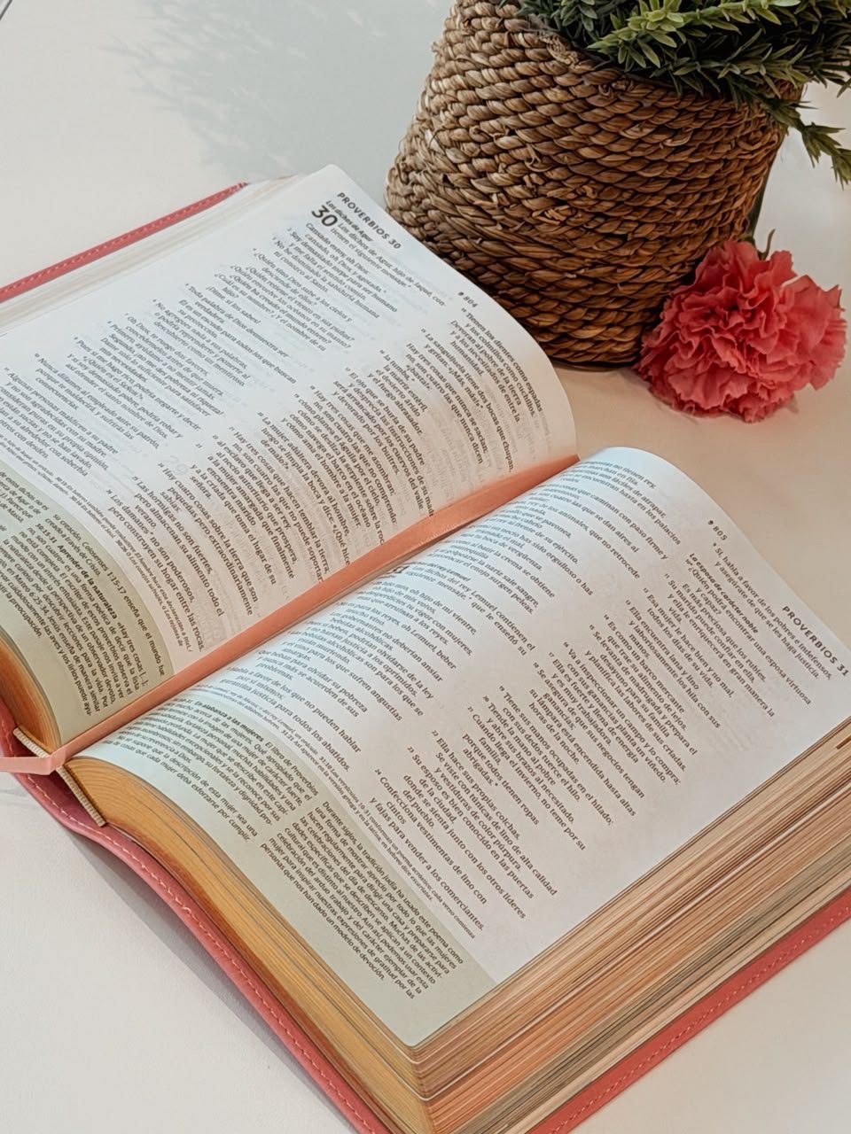 Biblia NTV | Estudio Diario Vivir para Jóvenes - Piel Rosa Filament - Image 3