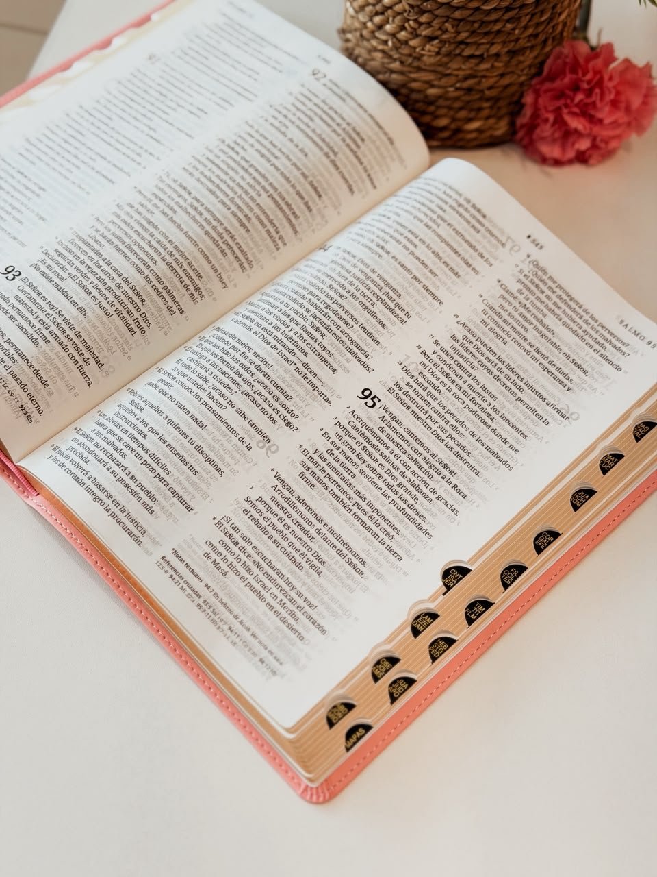 NTV Biblia ultrafina, letra grande con Filament - Image 3