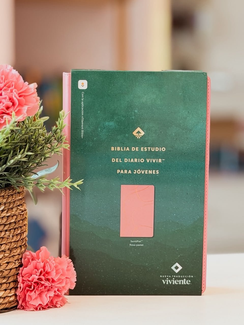 Biblia NTV | Estudio Diario Vivir para Jóvenes - Piel Rosa Filament