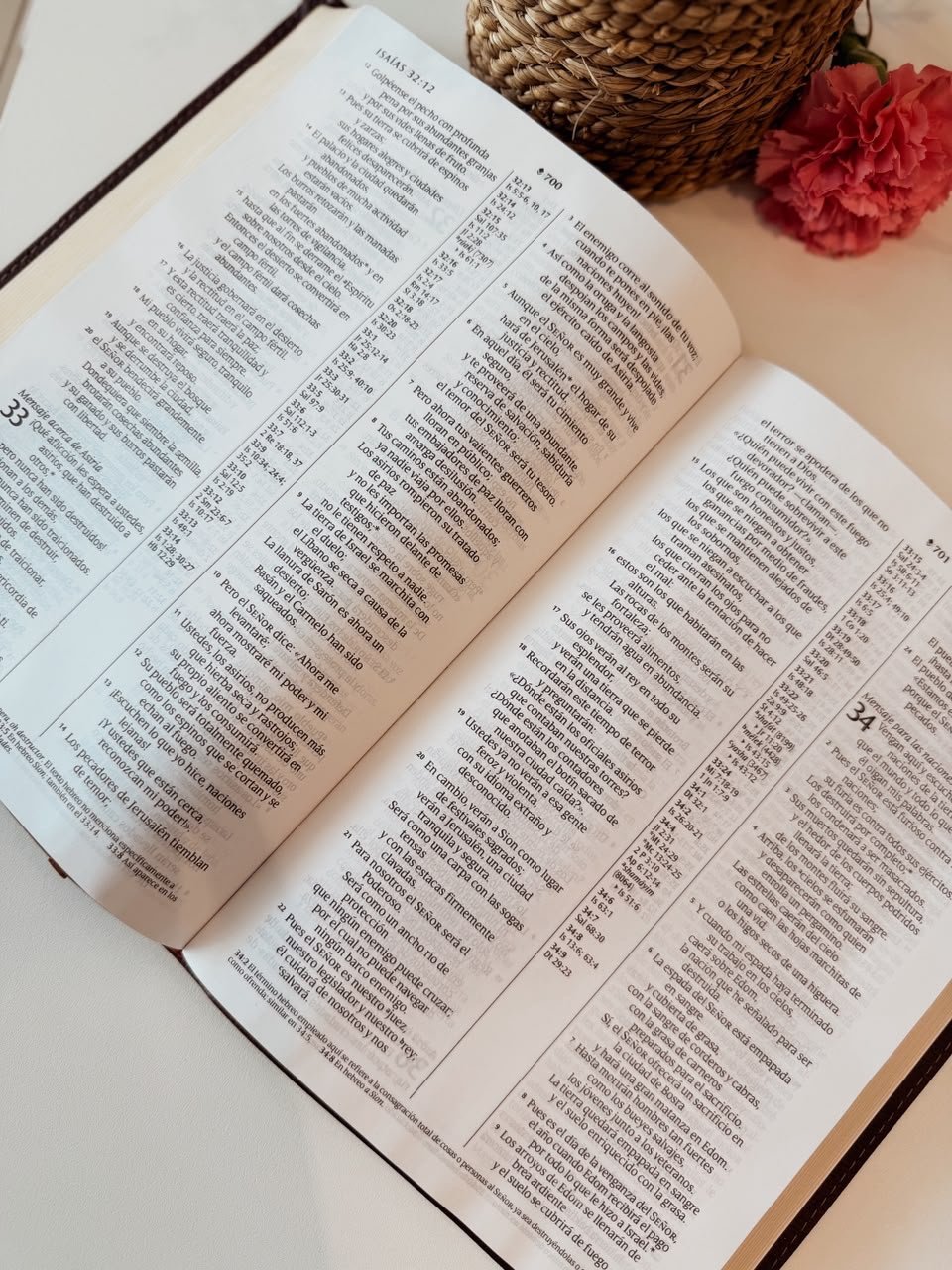 Santa Biblia NTV, letra súper gigante - Image 3