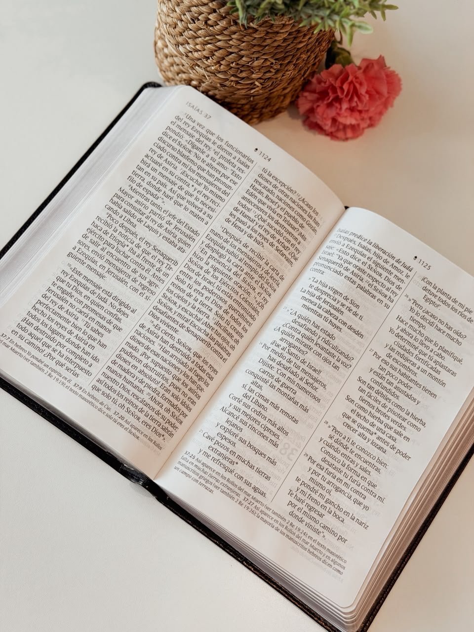 Biblia manual NTV, letra grande con Filament - Image 3