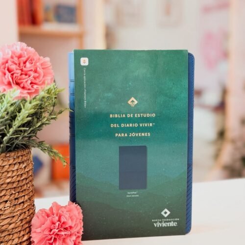 Biblia de estudio del diario vivir para jóvenes NTV