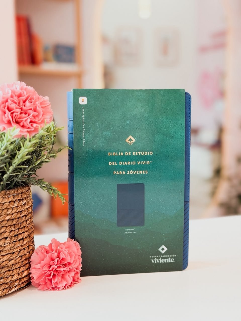 Biblia de estudio del diario vivir para jóvenes NTV