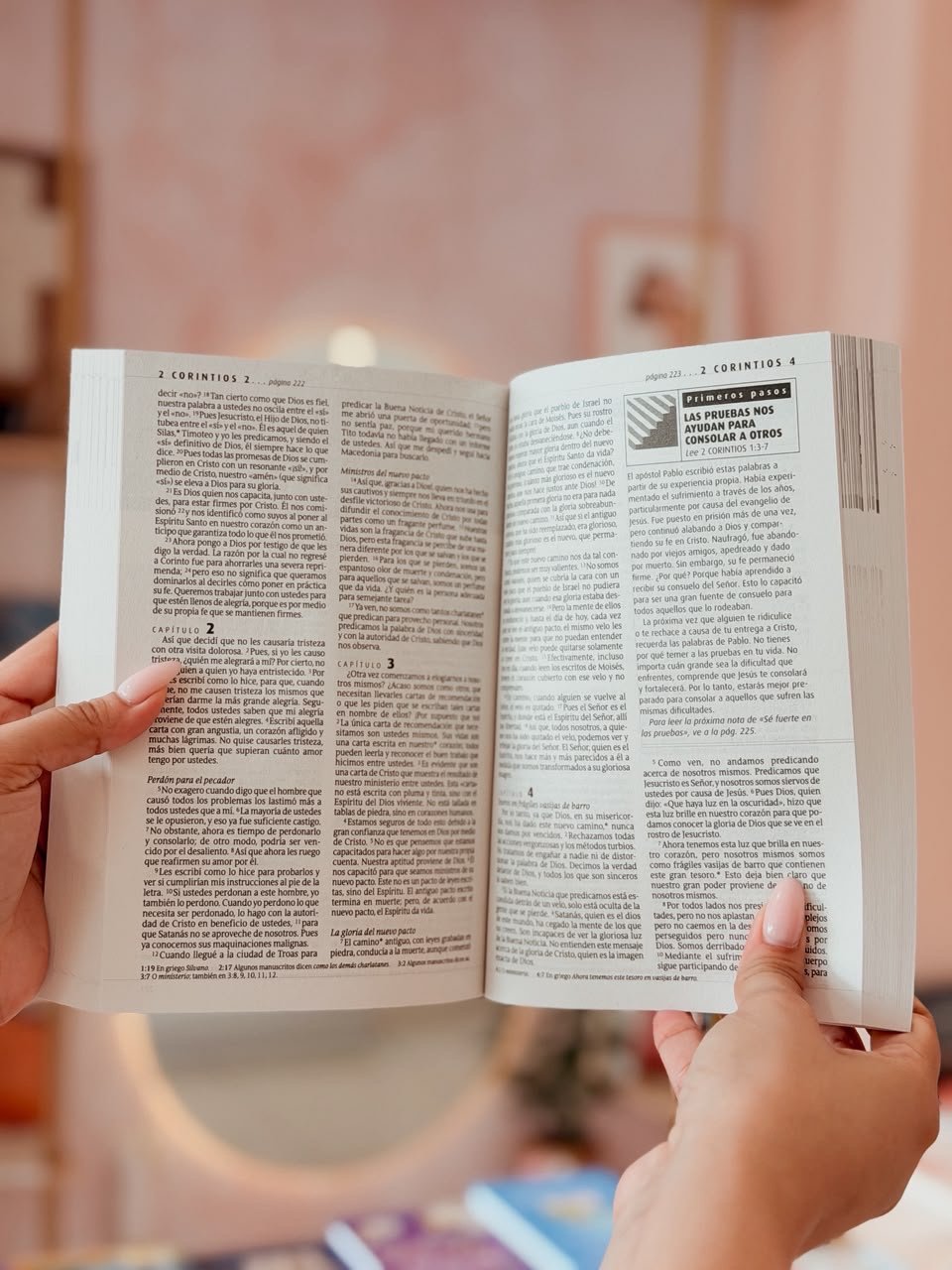 Biblia para nuevos creyentes Nuevo Testamento NTV (Tapa rústica) (Spanish Edition) - Image 2